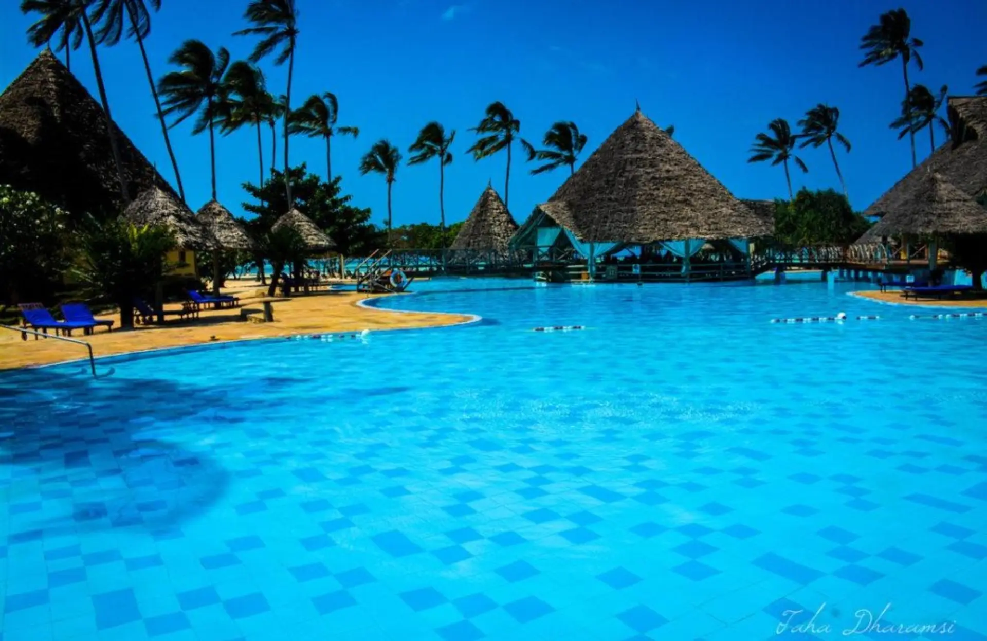 Pool with thatched umbrellas and palm trees at a Tanzanian coastal beach resort